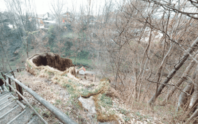 Kraftort – Usterling