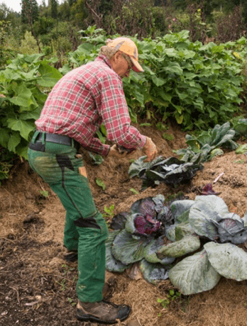 Martin Hesch im Ried